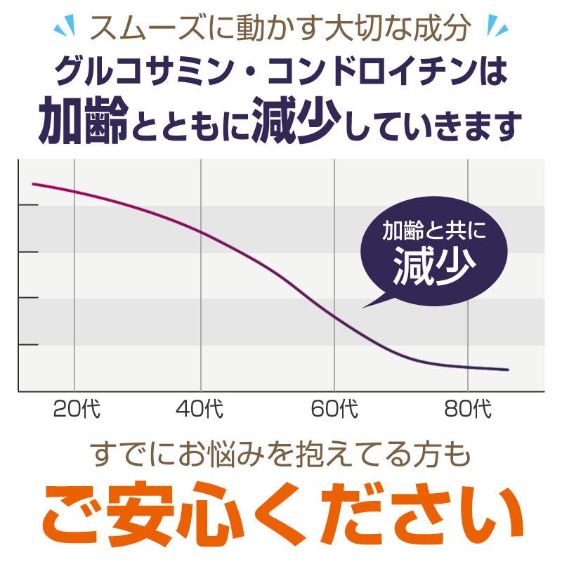 グルコサミン & コンドロイチン 1袋 サプリメント