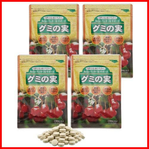 グミの実 サプリメント 4袋 タンミン イソサミジン サプリ ボタンボウフウ粉末 クランベリー配合