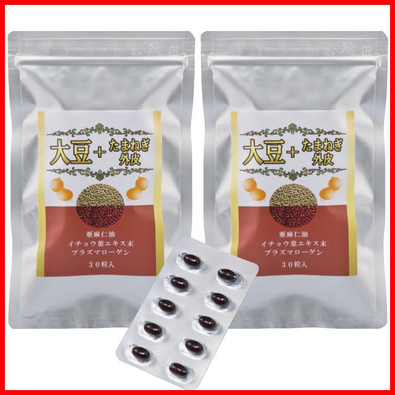 アルファGPC と相性のよい7種の有効成分 プラズマローゲン 亜麻仁油 ルチン イチョウ葉 配合 サプリメント 大豆+たまねぎ外皮 2袋