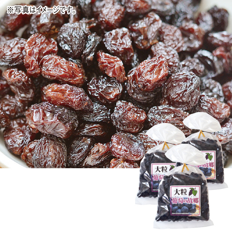 大粒干しぶどう（340g×3袋セット） - ほほえみ元気クラブ 新光通販