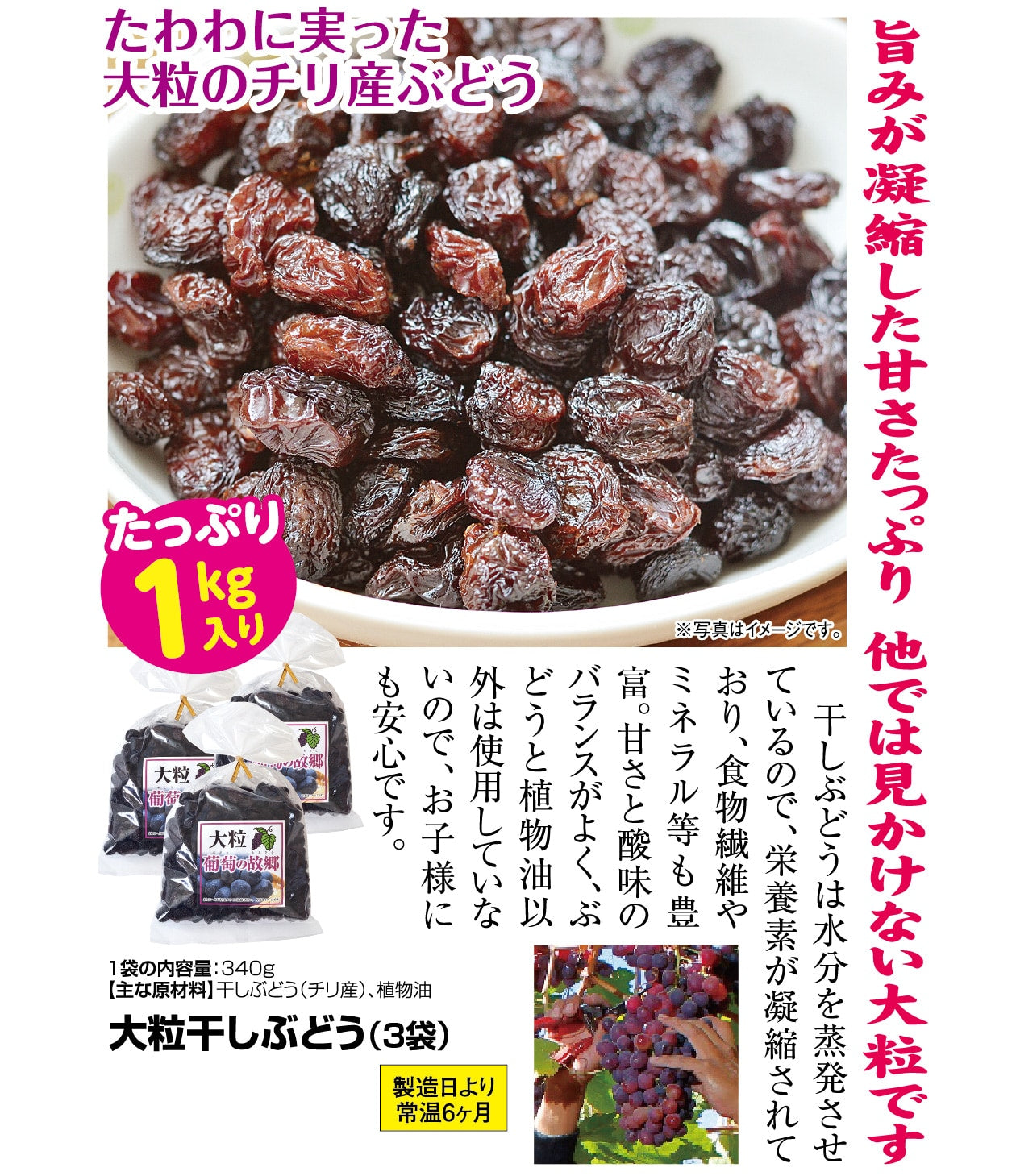 大粒干しぶどう（340g×3袋セット） - ほほえみ元気クラブ 新光通販