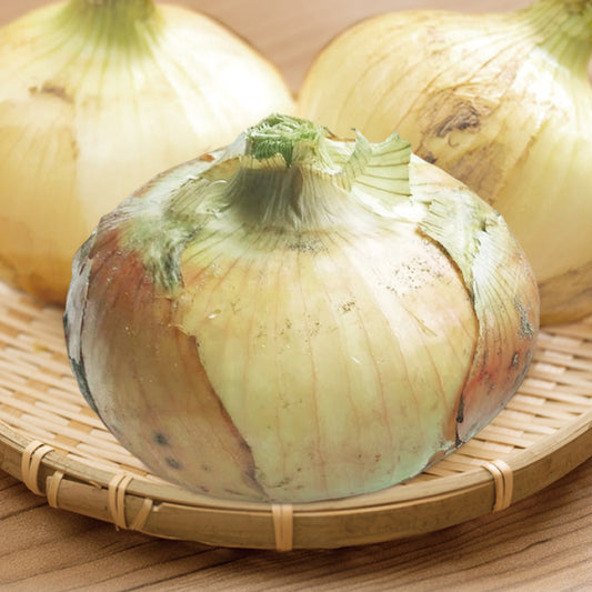 白子町産たまねぎ（5kg入り） - ほほえみ元気クラブ 新光通販