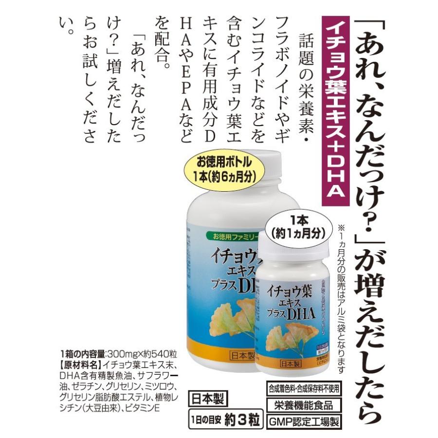 イチョウ葉 サプリメント 1袋 日本製 - 健康用品