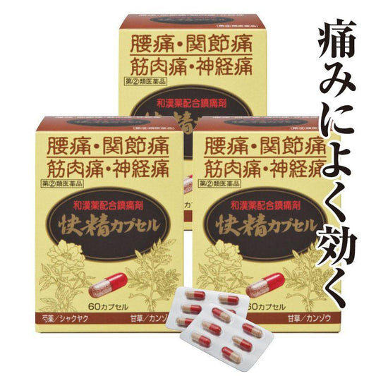 腰痛 関節痛 筋肉痛 肩こり痛「快精カプセル」 3箱 【第(２)類医薬品】