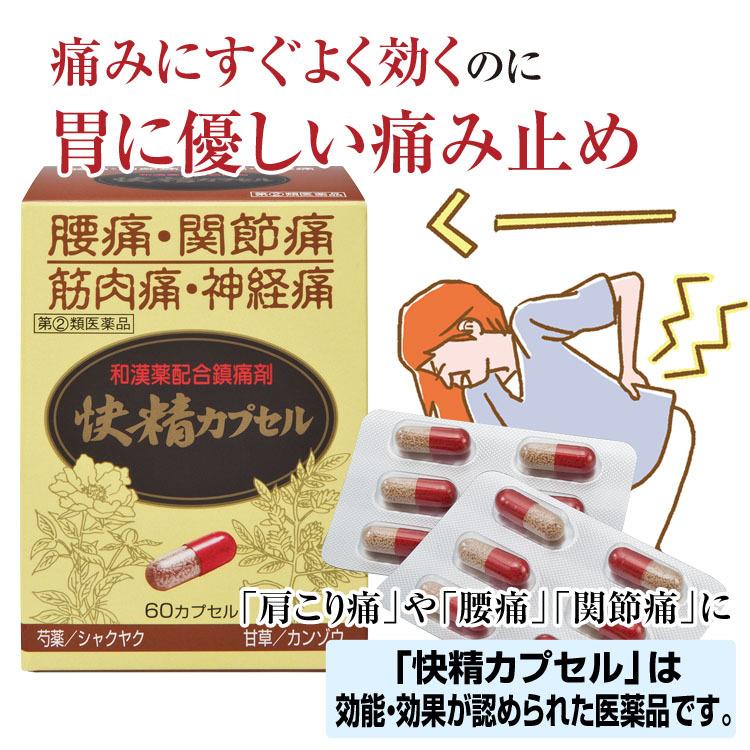 初回限定】腰痛 関節痛 筋肉痛 肩こり痛「快精カプセル」 1箱 【第(２